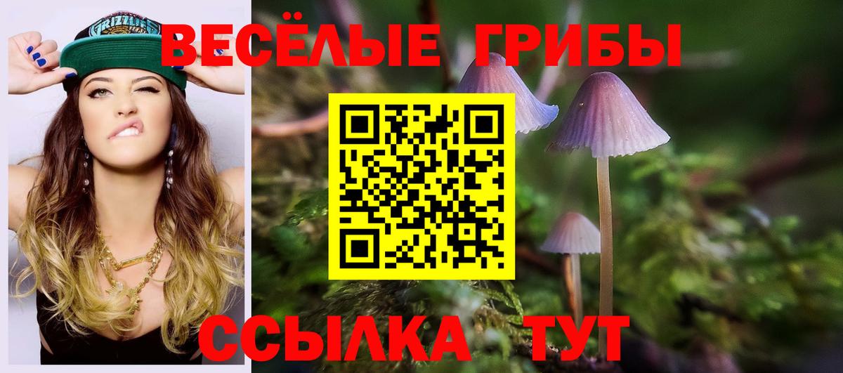 Псилоцибиновые грибы GOLDEN TEACHER  Вход с VPN  Шадринск  Галлюциногенные грибы Psilocybine cubensis 